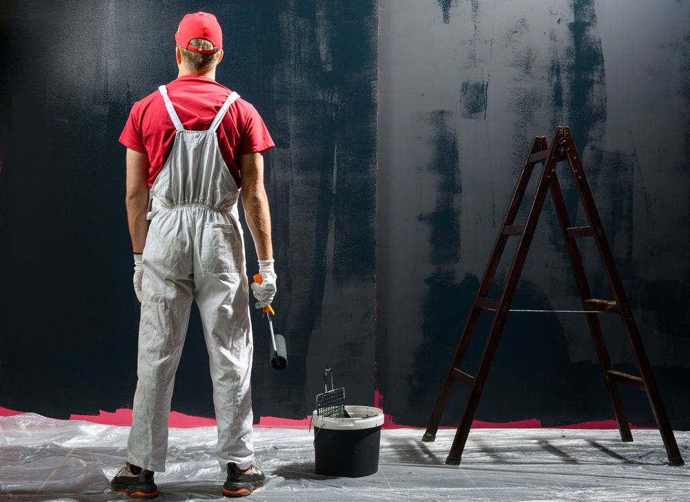Professional Painting Providers